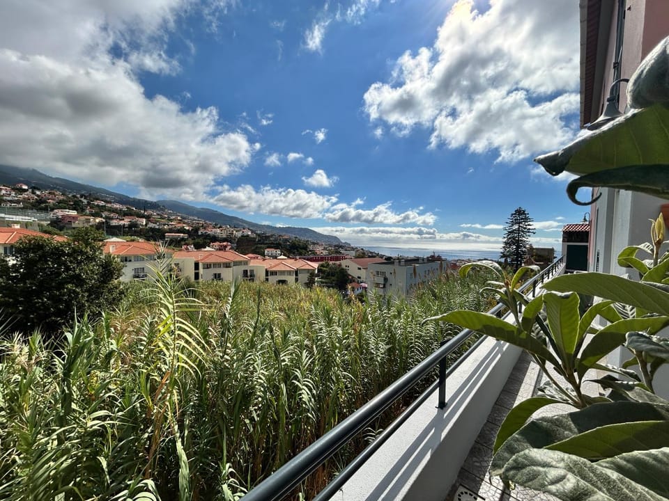 Mountain view, Sea view