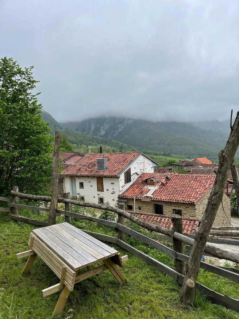 Mountain view