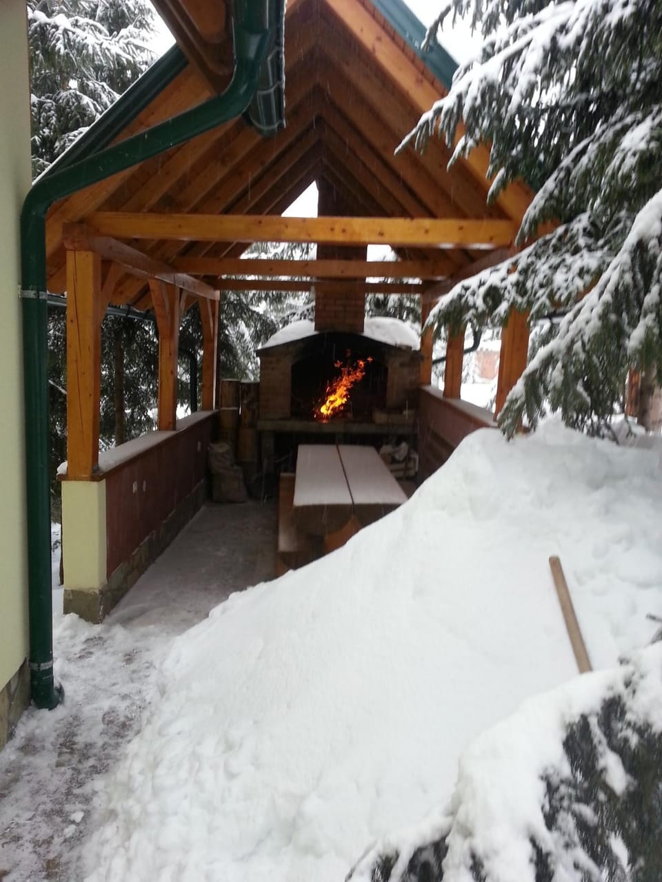 Patio, Winter