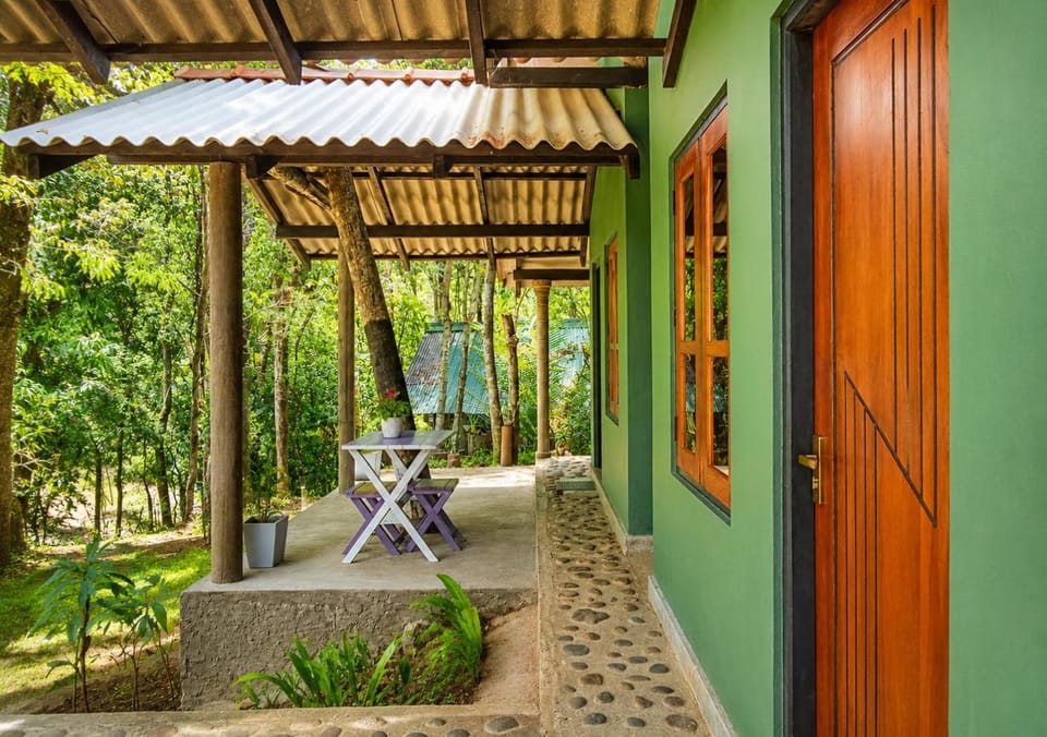 Property building, Patio, Spring, Day, Garden, Garden view