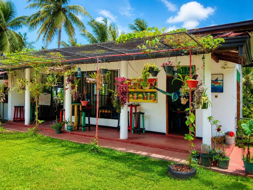 Property building, Patio, Spring, Day, Garden, Garden view