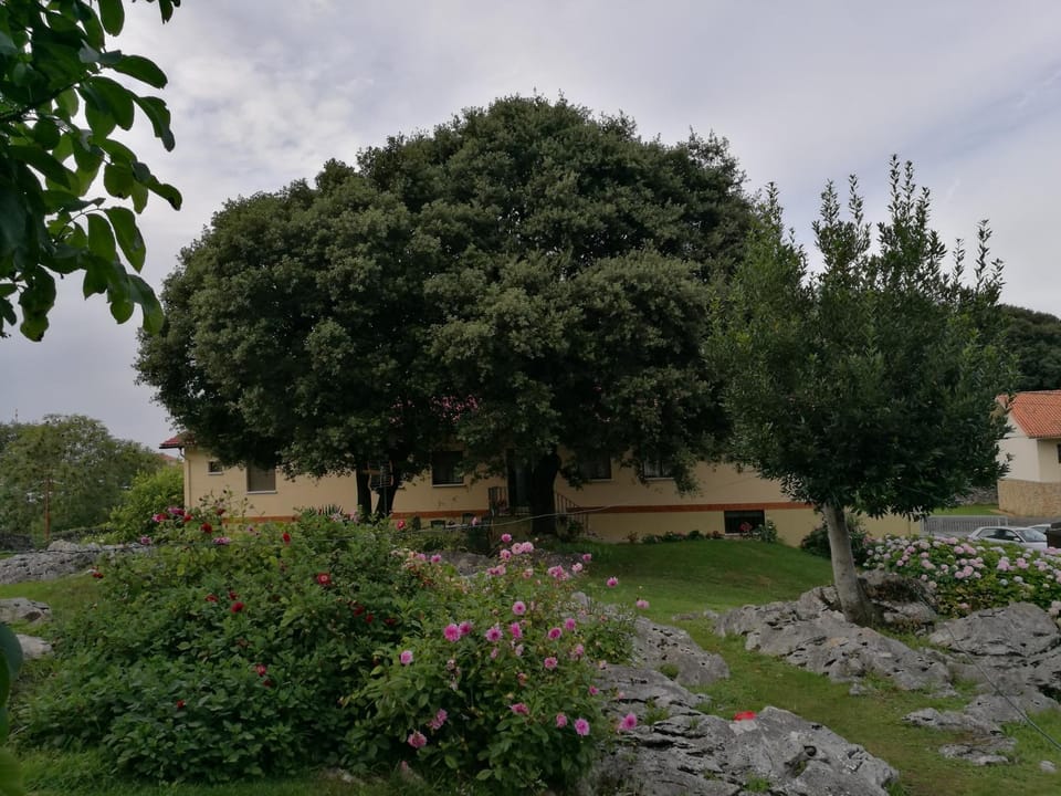 Hotel La Encina Celorio Llanes PARKING Hotel in Cantabria