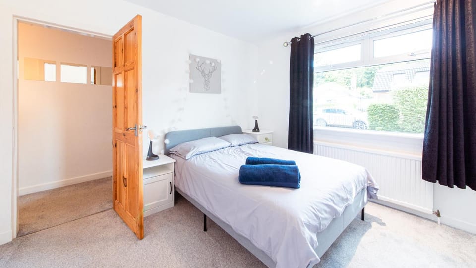 Bed, Photo of the whole room, Bedroom