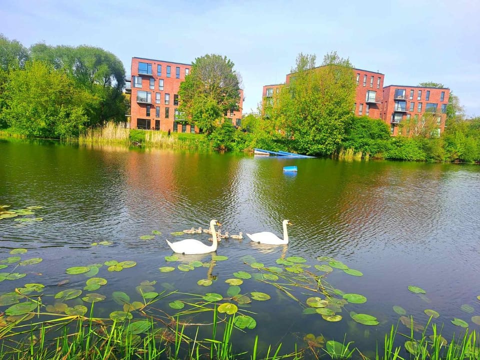 Natural landscape, Lake view