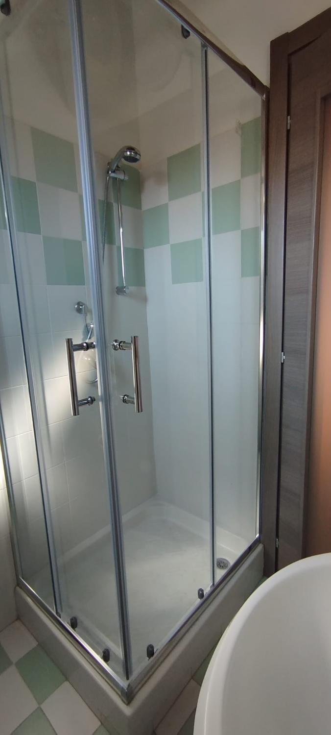Shower, Bathroom, bidet, hair dryier, towels