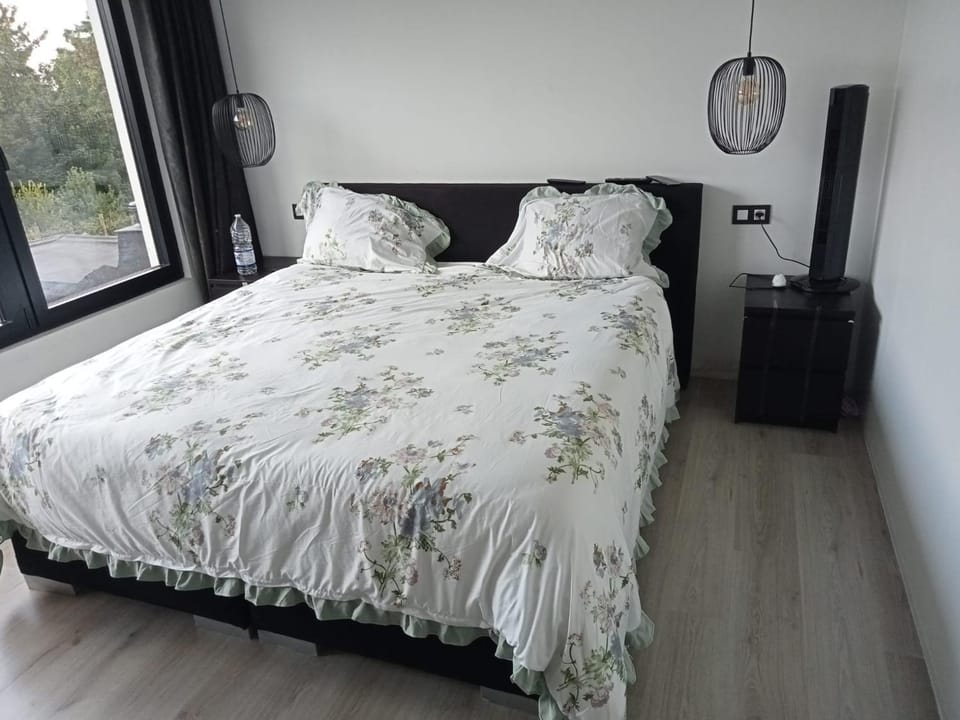 Tomorrowlandhome Boom Bed and Breakfast in Flanders