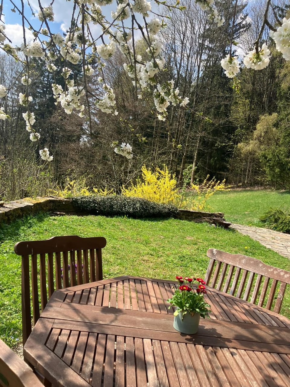 Spring, Day, Garden, Garden view