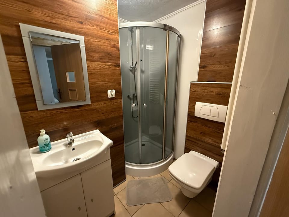 Shower, Toilet, Bathroom, towels