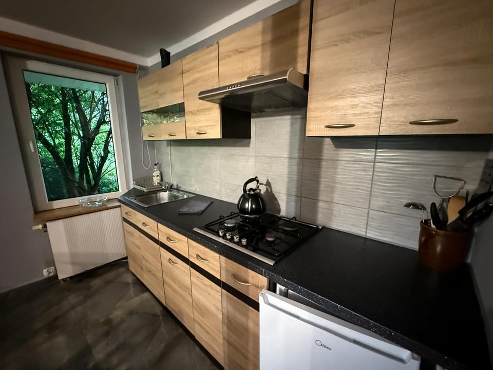 Kitchen or kitchenette, pet friendly