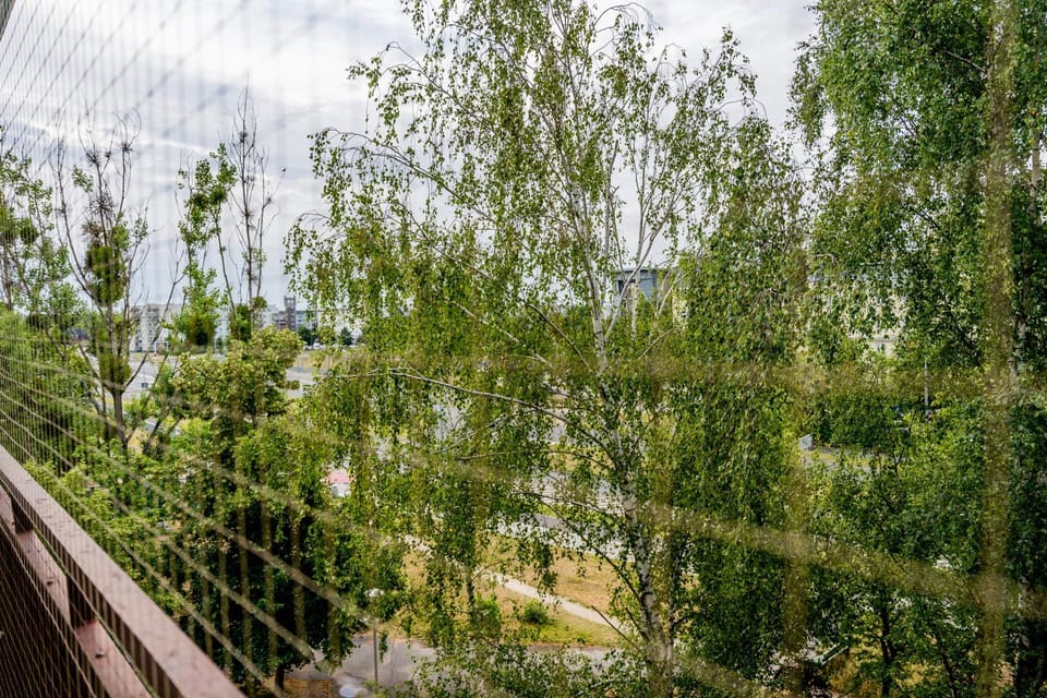 Day, Balcony/Terrace