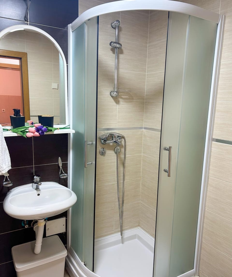 Apartman Ivana Apartment in Novi Sad