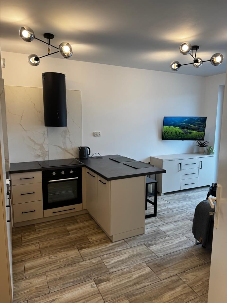 Kitchen or kitchenette, dishwasher, oven, stove