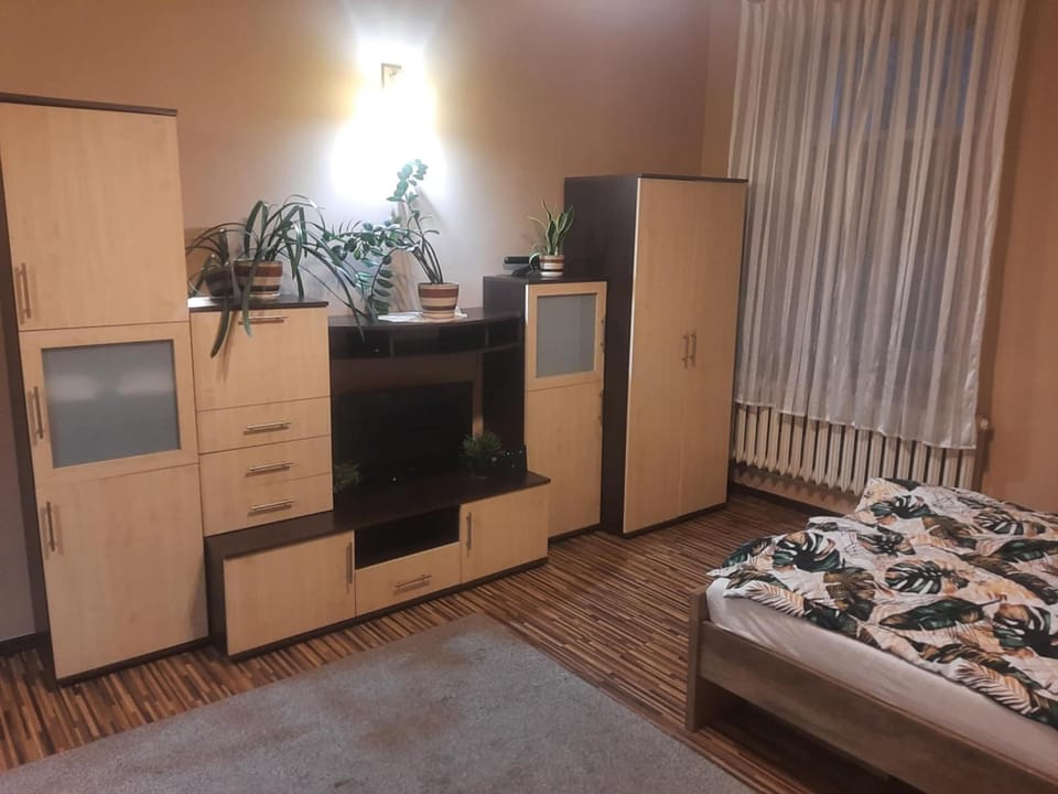 Kawalerka w kamienicy Apartment in Lithuania