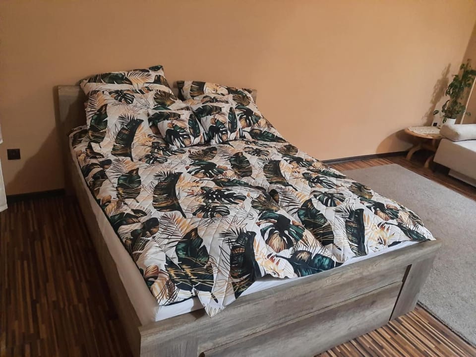 Kawalerka w kamienicy Apartment in Lithuania