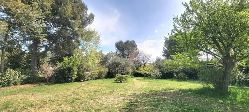 Garden, Garden view