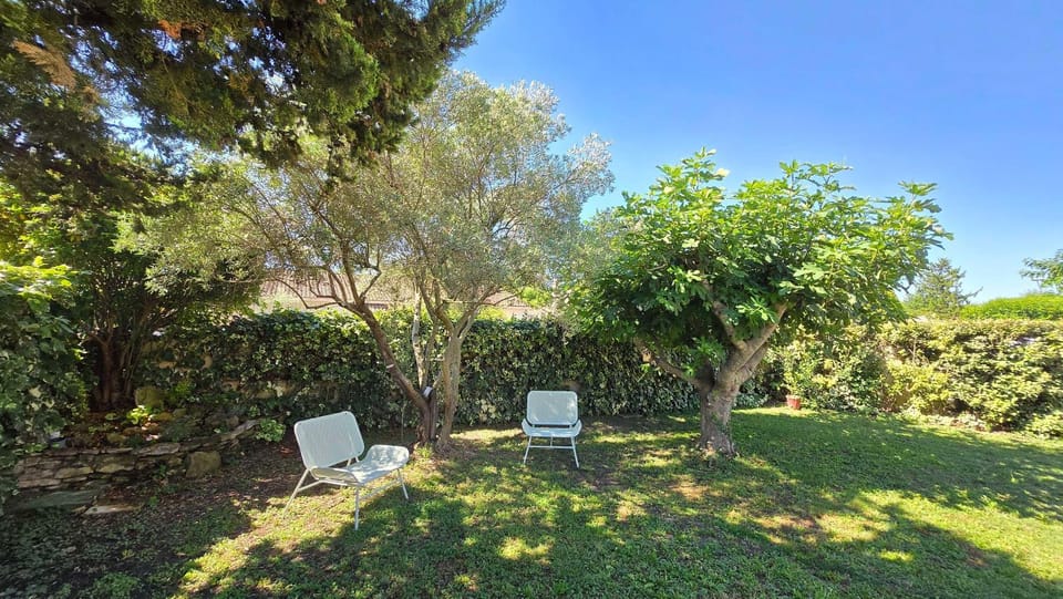 Natural landscape, Garden, Garden, Garden view, Garden view