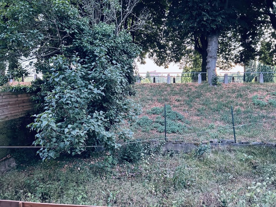 T3-dans le verdure TRES CALME A SCHILTIGHEIM Apartment in Strasbourg