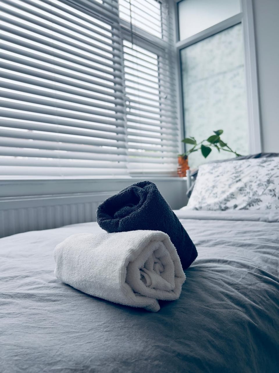 Studio flat in tooting, central london,non smoking Apartment in London Borough of Croydon