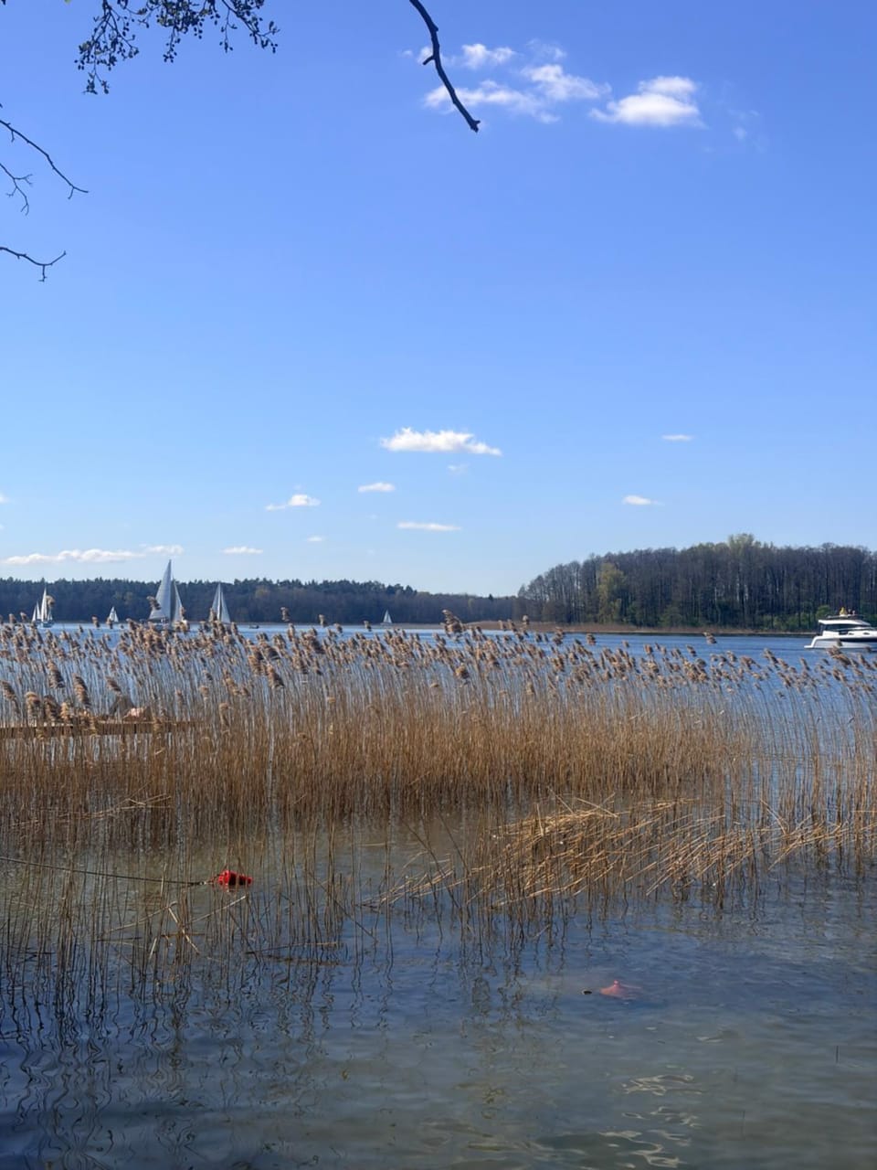 Lake view