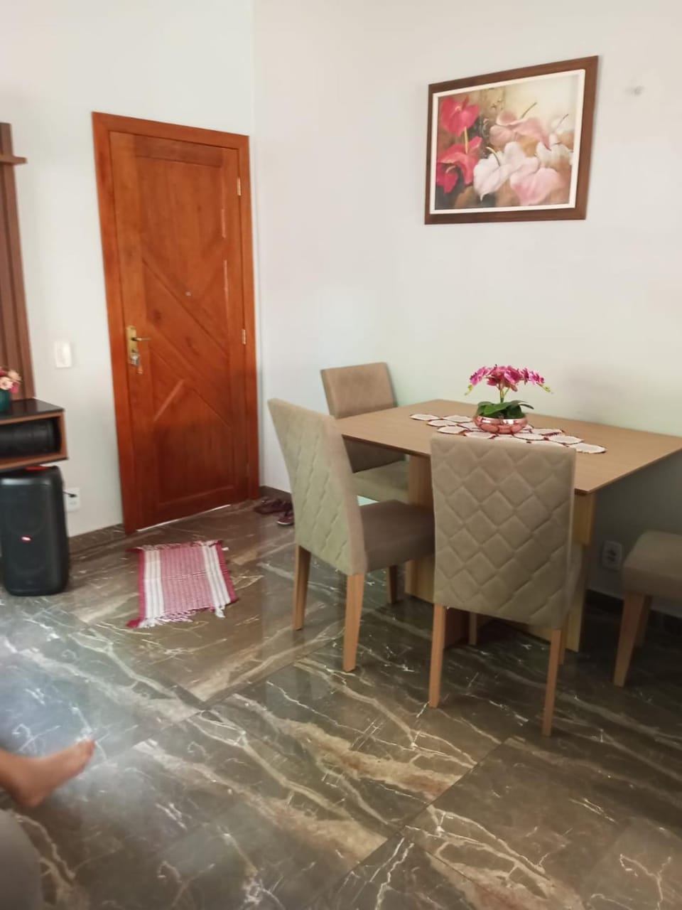 Uziel Monteiro Apartment in State of Goiás