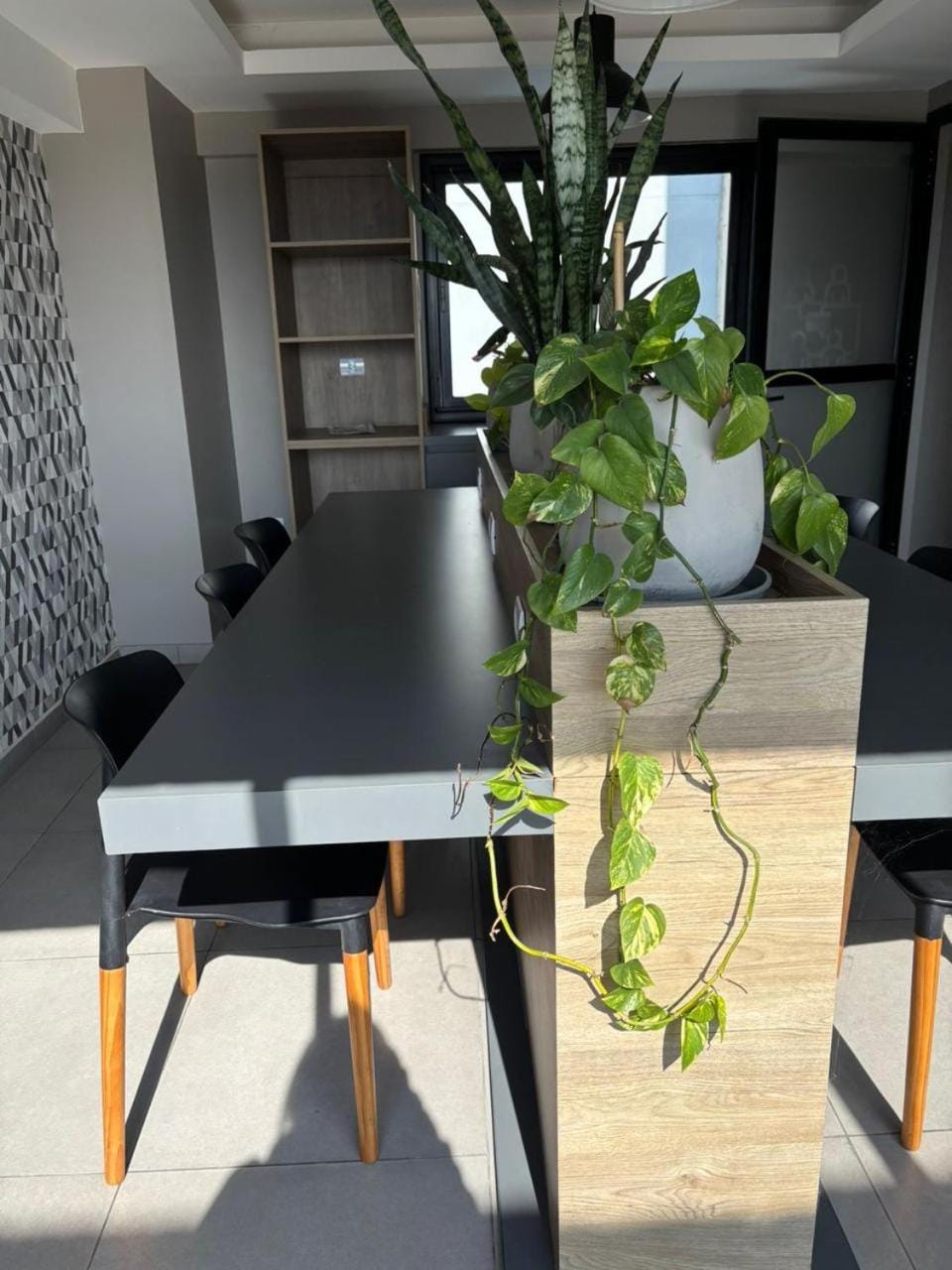Luminoso y confortable Studio ZOE Apartment in San Miguel de Tucumán