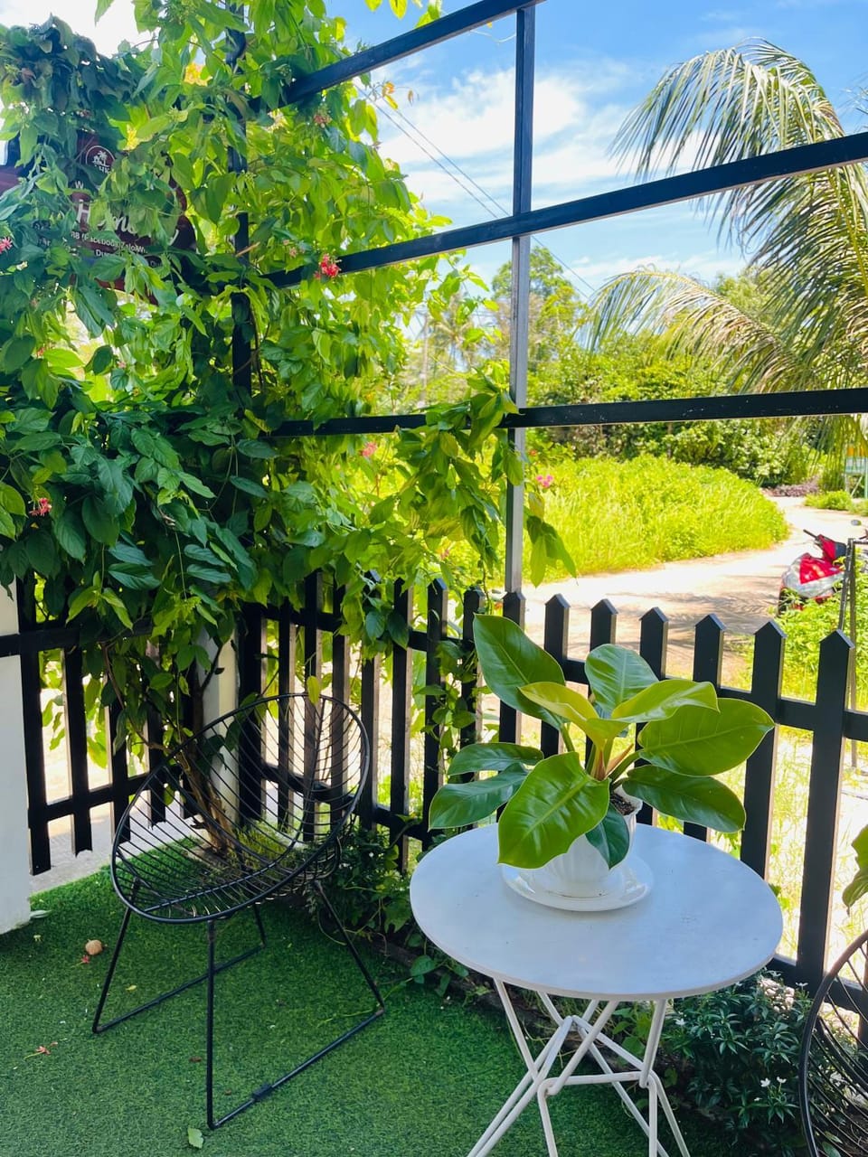 View (from property/room)