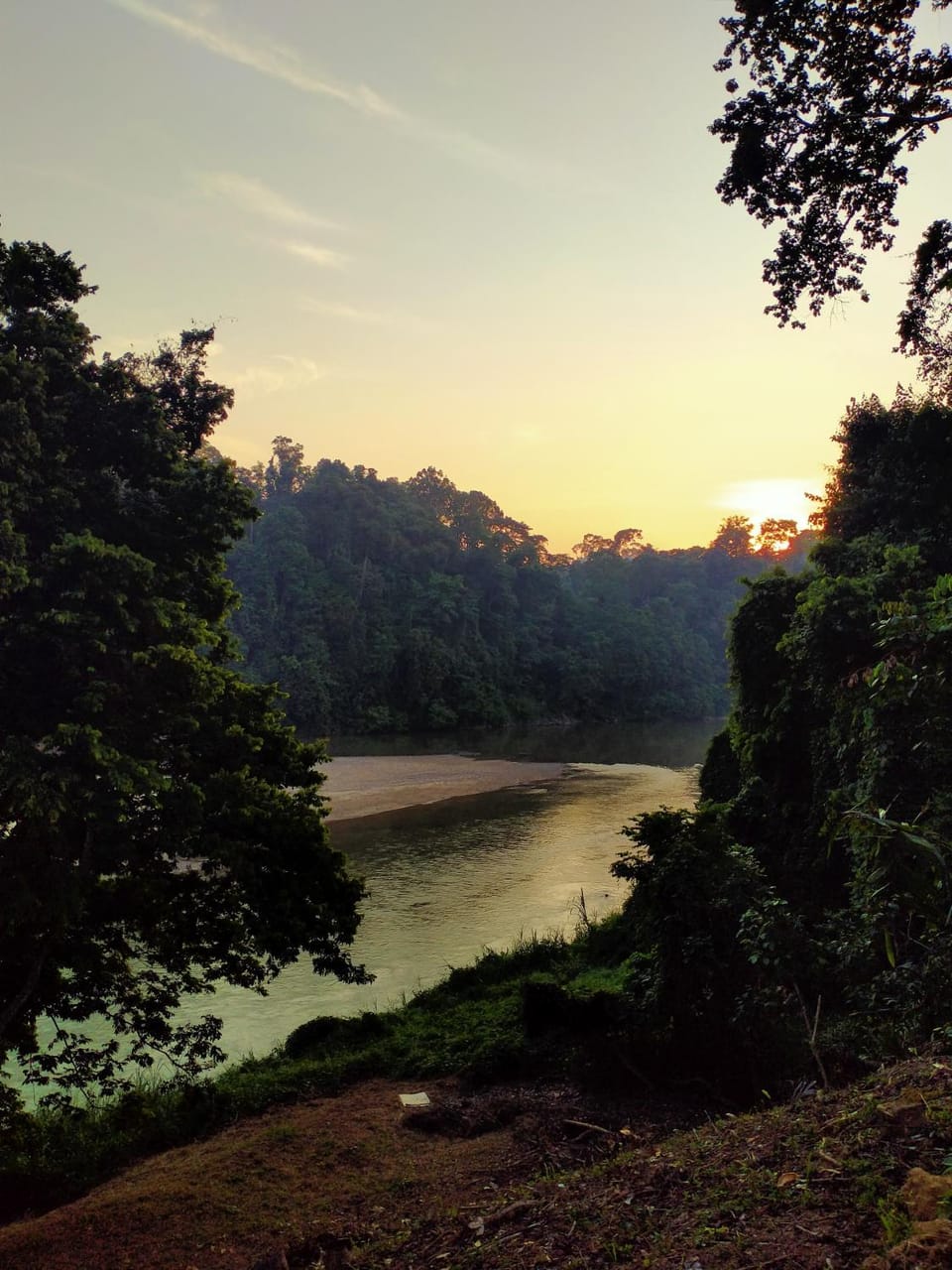 Tamu Rimba Taman Negara Bed and Breakfast in Terengganu, Malaysia