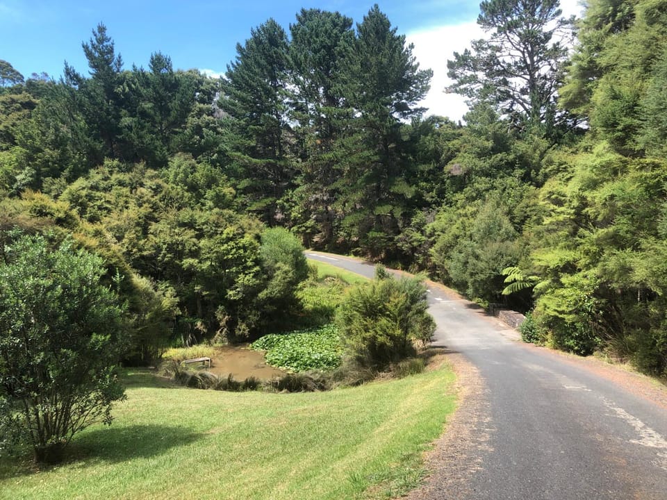 Fernhill Cottages House in Auckland
