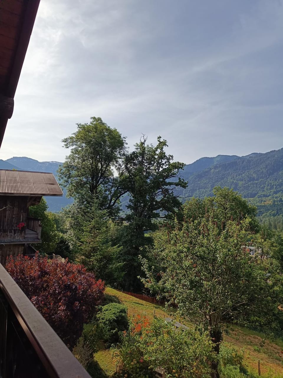 Mountain view