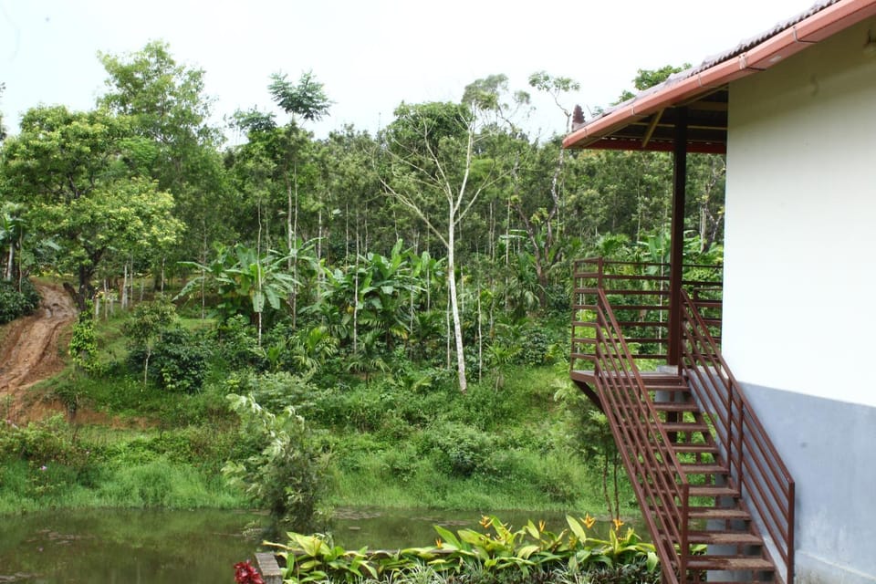 Natural landscape