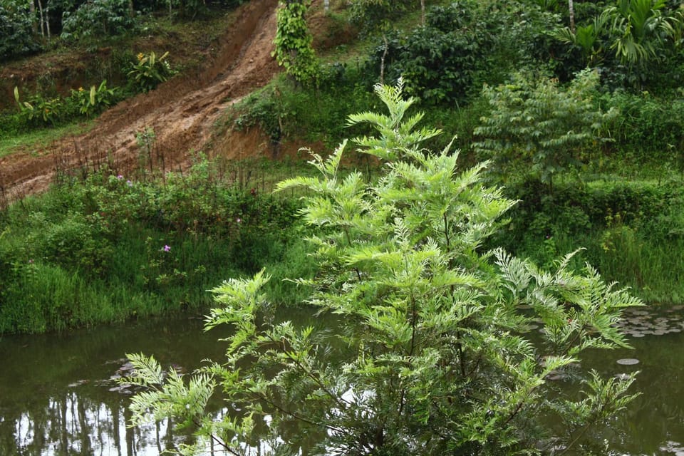 Natural landscape