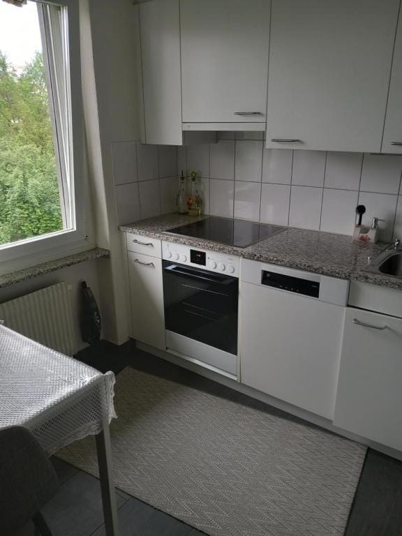 Kitchen or kitchenette, dishwasher, oven, stove