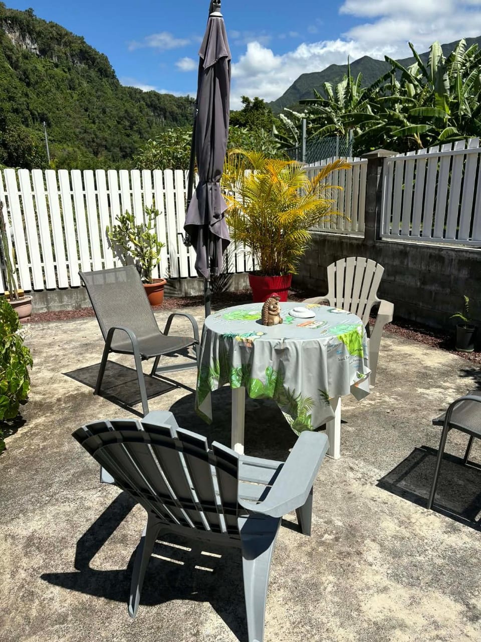 Notre Z'oiseau de Paradis Apartment in Réunion