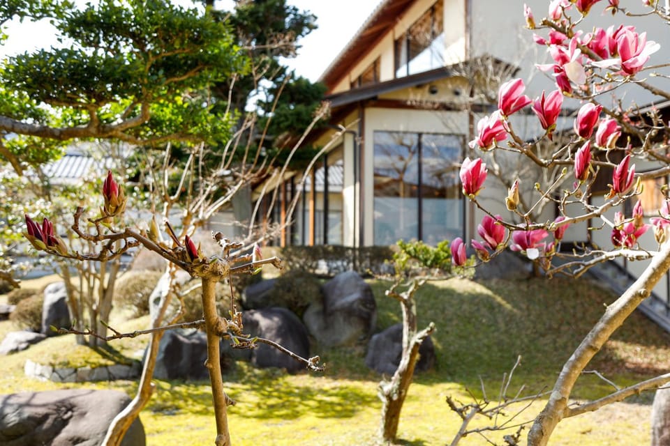 Property building, Garden, Garden view