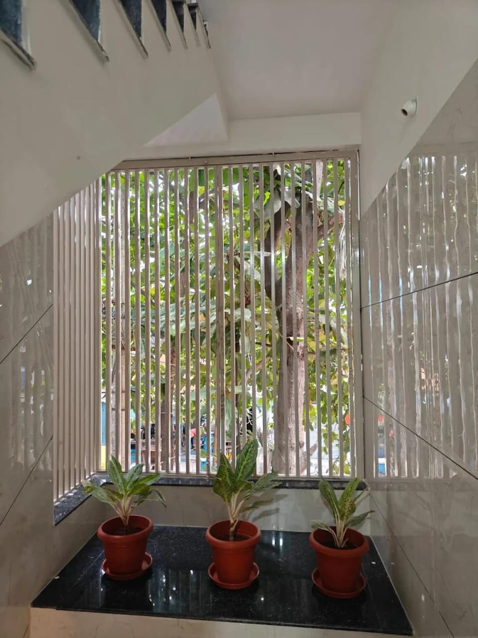 Garden, Garden view