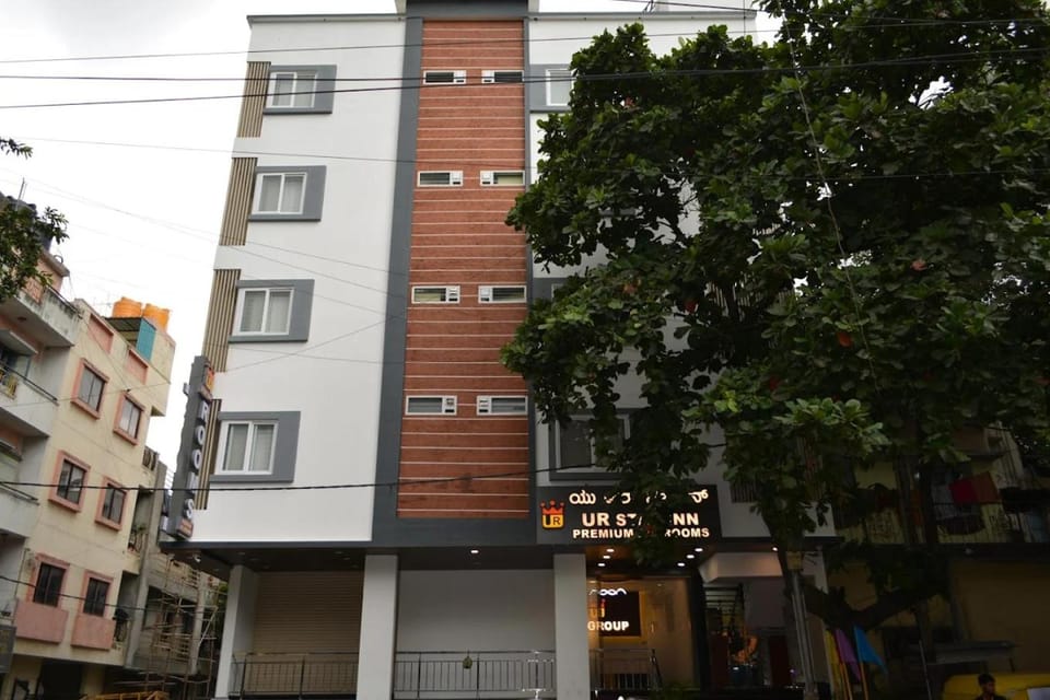 Property building, Day