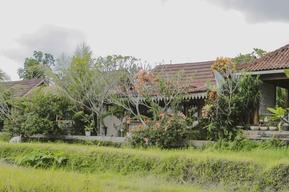 Property building, Day, Garden