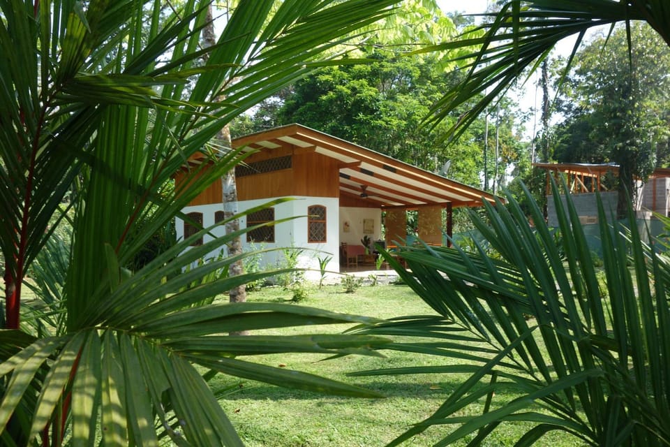 Property building, Garden view