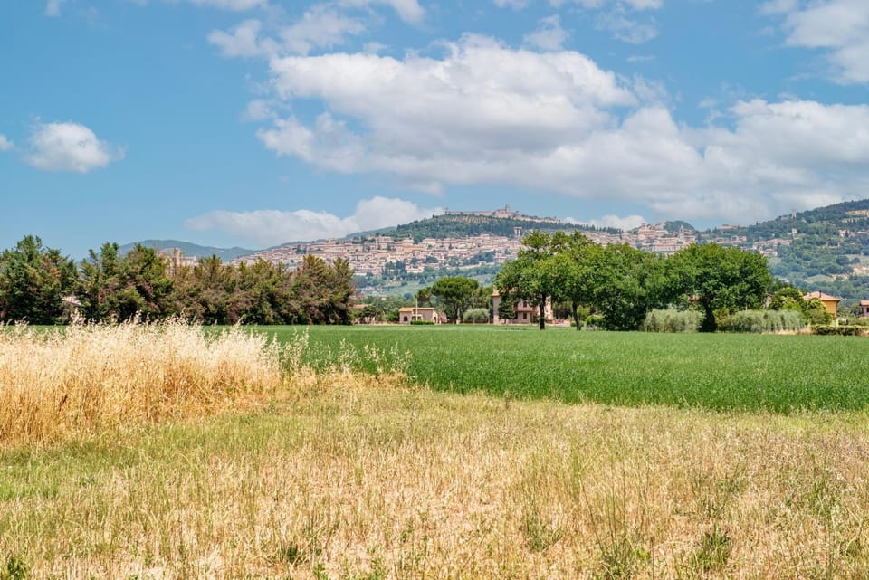 Natural landscape