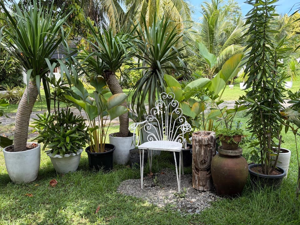 La Vida Hostel Samal Island Hostel in Island Garden City of Samal