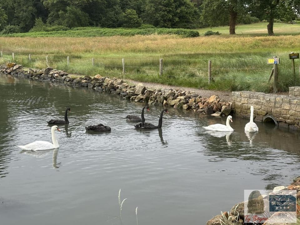 Ty bayon House in Brittany