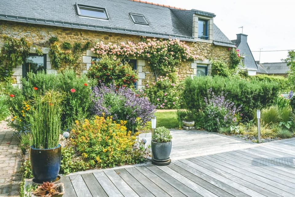 Property building, Spring, Day, Garden