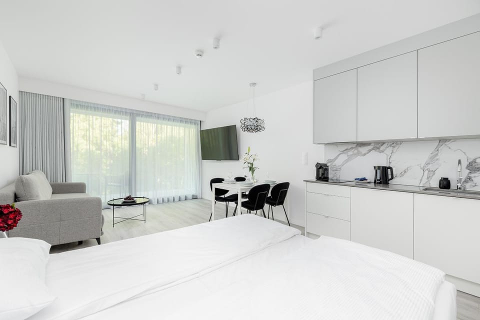 TV and multimedia, Kitchen or kitchenette, Photo of the whole room, Dining area