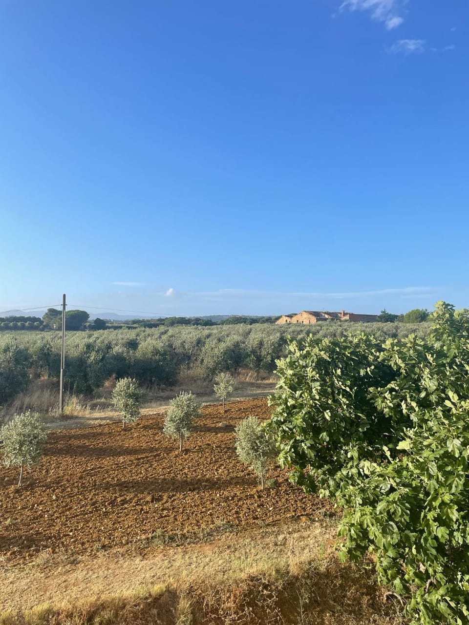 Natural landscape