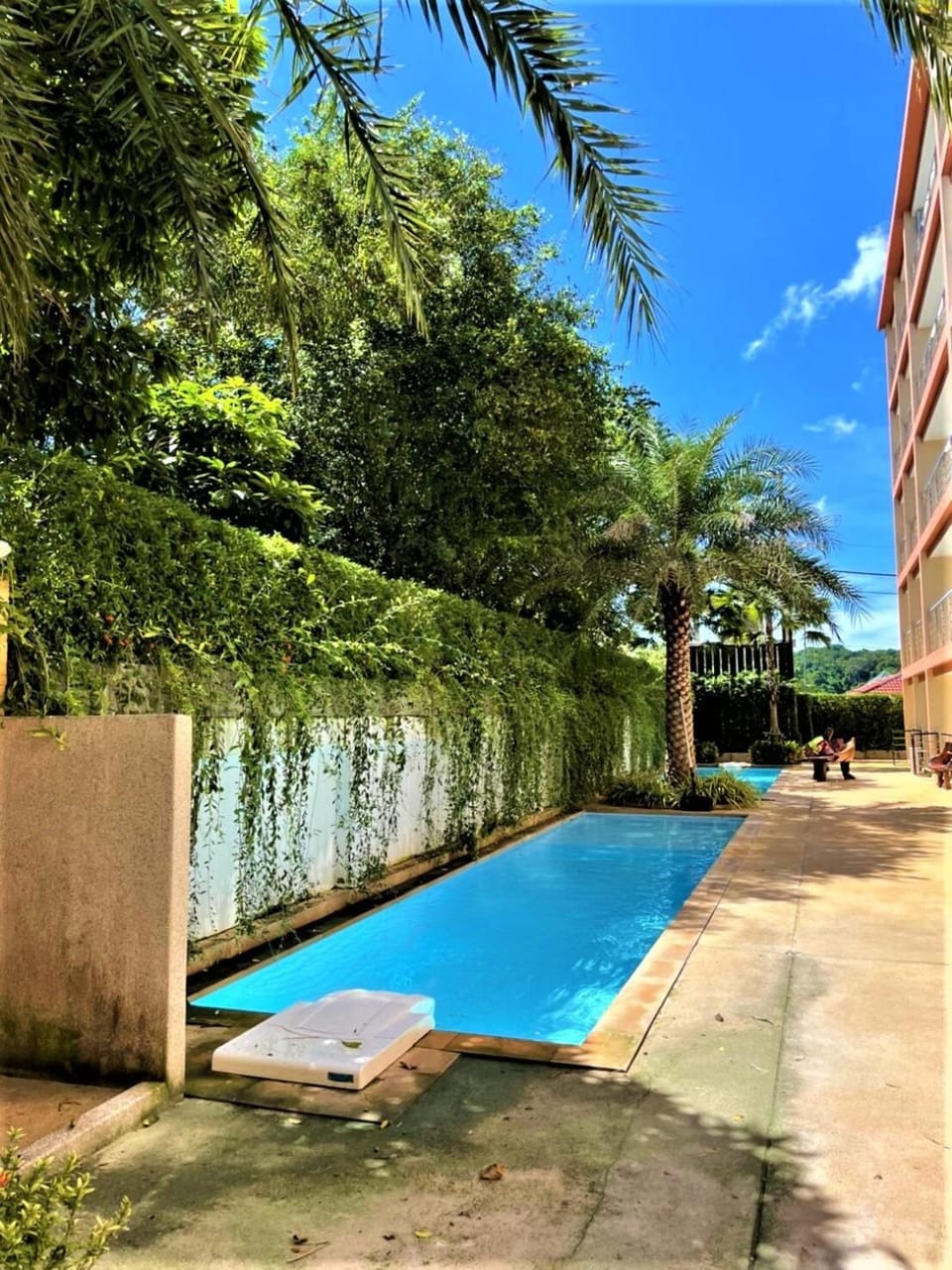 Day, Garden, Garden view, Pool view, Swimming pool, sunbed