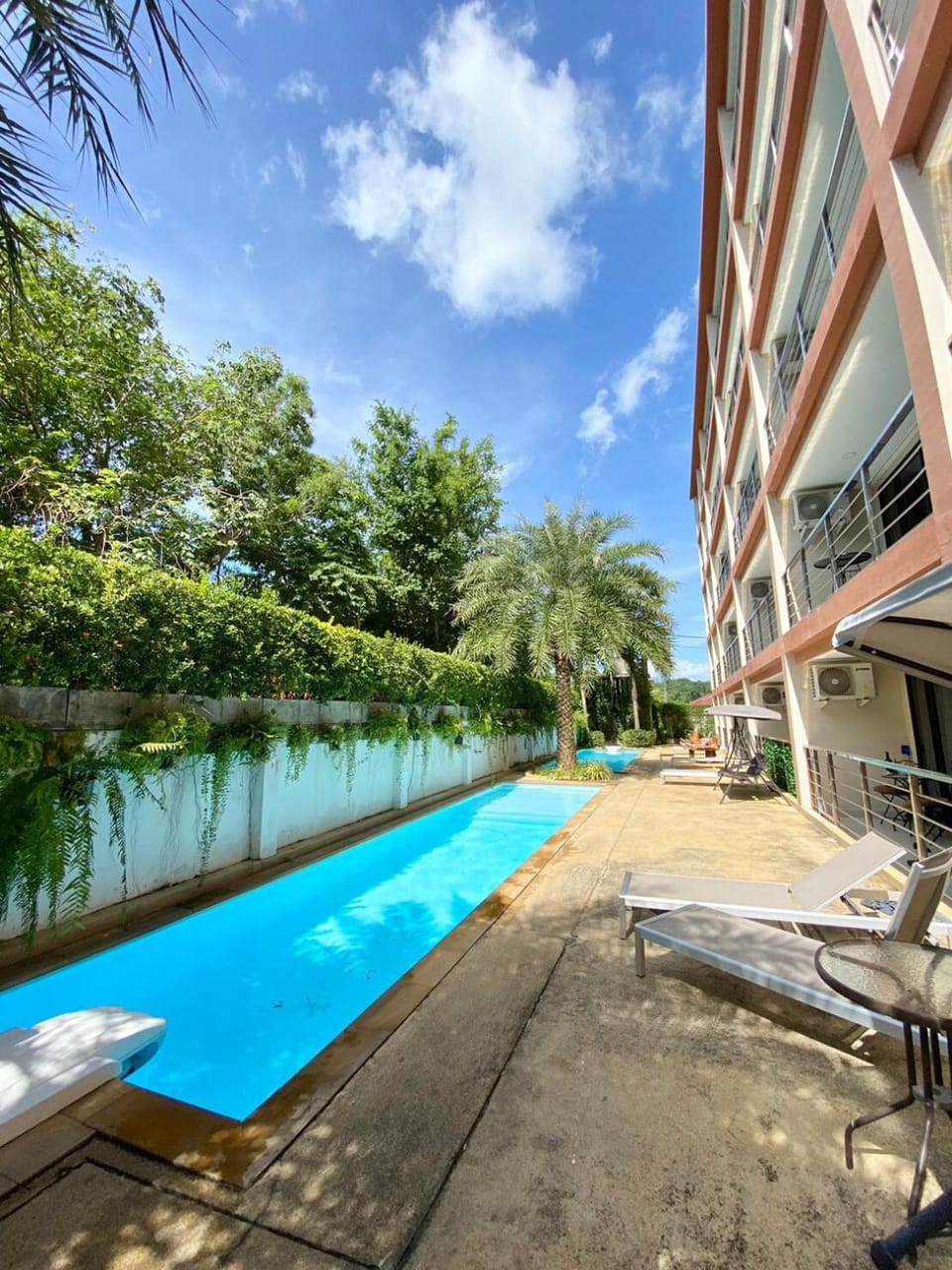 Property building, Patio, Garden, Garden view, Pool view, Swimming pool, sunbed