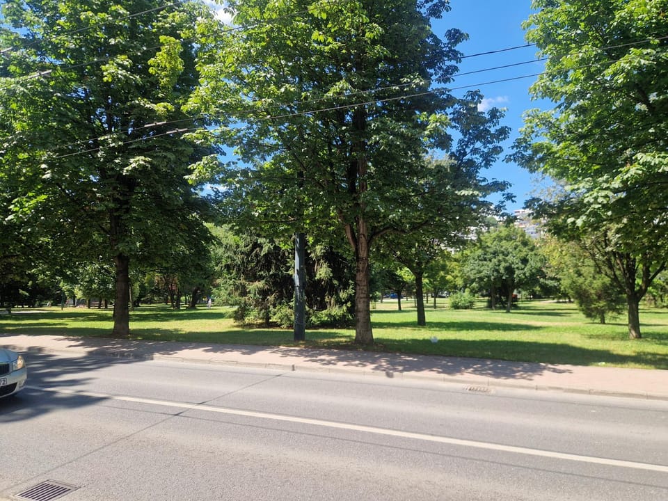 Day, Neighbourhood, Natural landscape