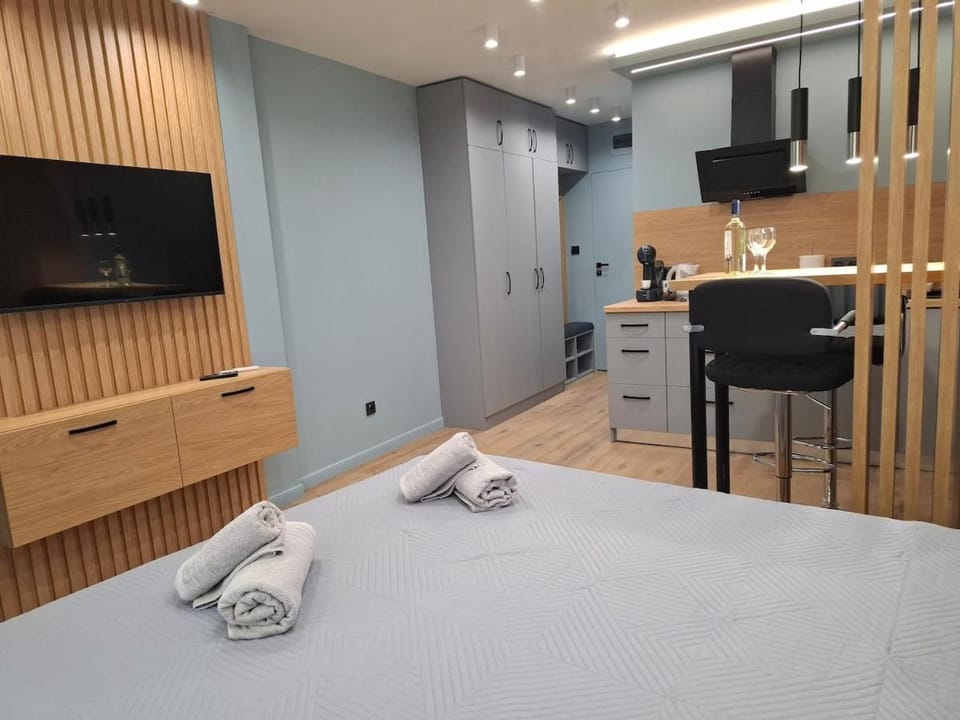Bed, TV and multimedia, Kitchen or kitchenette, Photo of the whole room, Bedroom, minibar, stove, towels, wardrobe