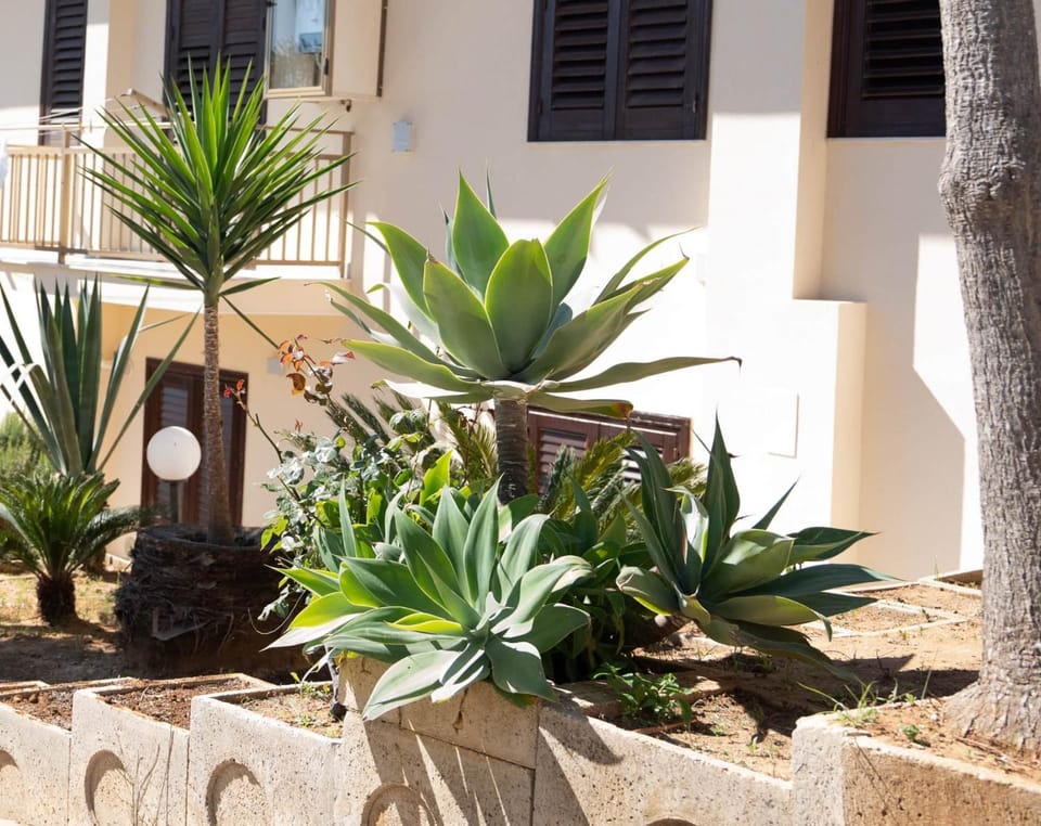 Casa Paradiso Sciacca Apartment in Sciacca