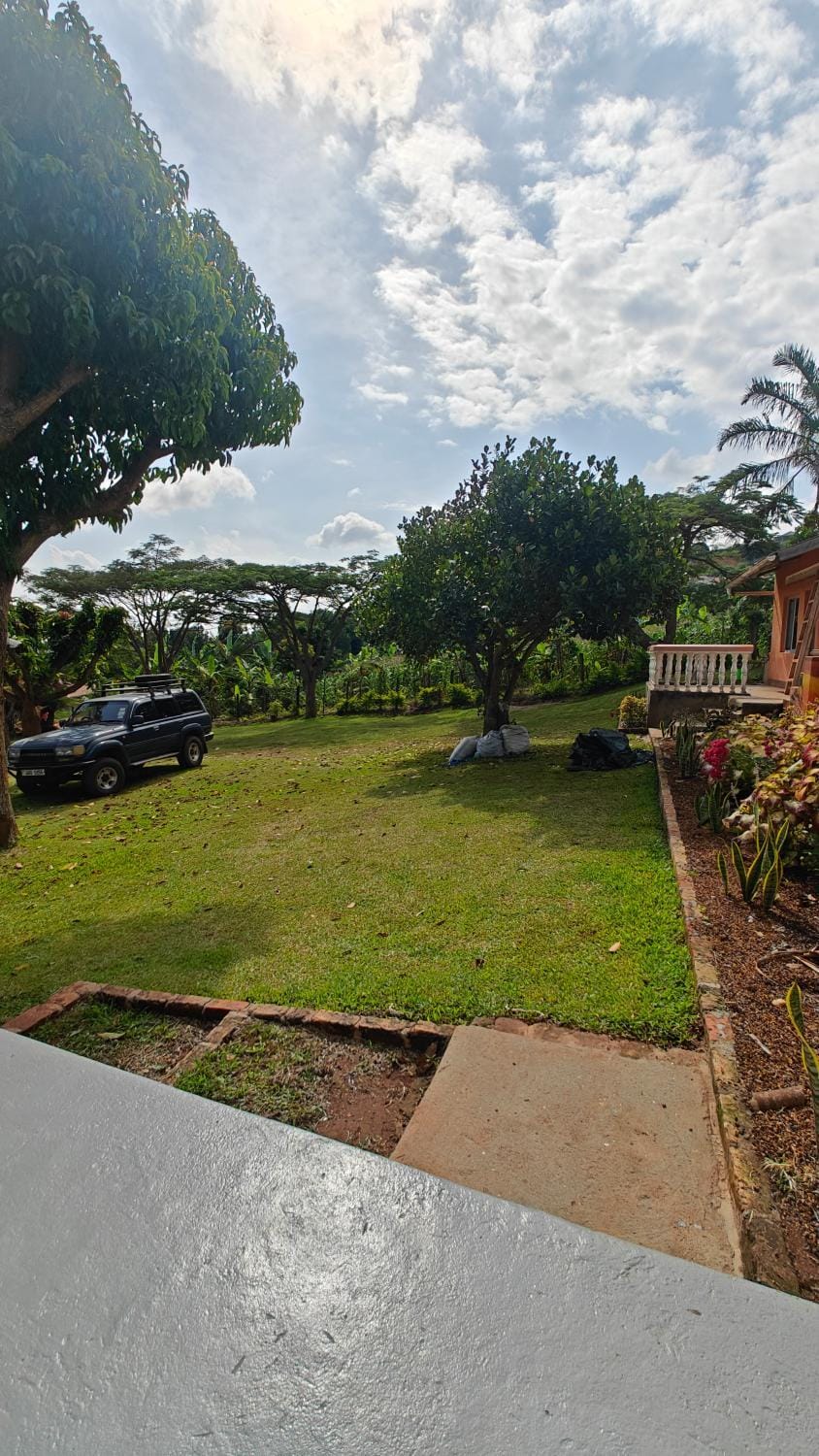 Natural landscape, Garden, Garden view